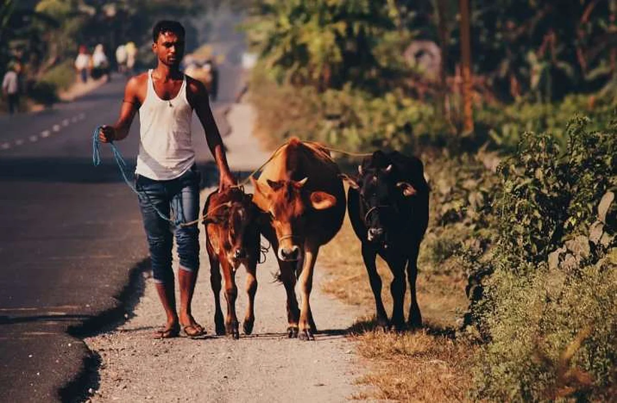 കര്ണാടകയില് ഗോവധ നിരോധനം വെെകാതെ നടപ്പിലാക്കും; ബിജെപി നേതാവ്