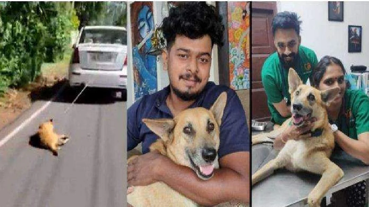 അബാക്ക ഇനി ദയയുടെ തണലില്; നായയെ കെട്ടിവലിച്ച ആള്ക്കെതിരെ കടുത്ത നടപടിക്ക് ഒരുങ്ങി പൊലീസ്