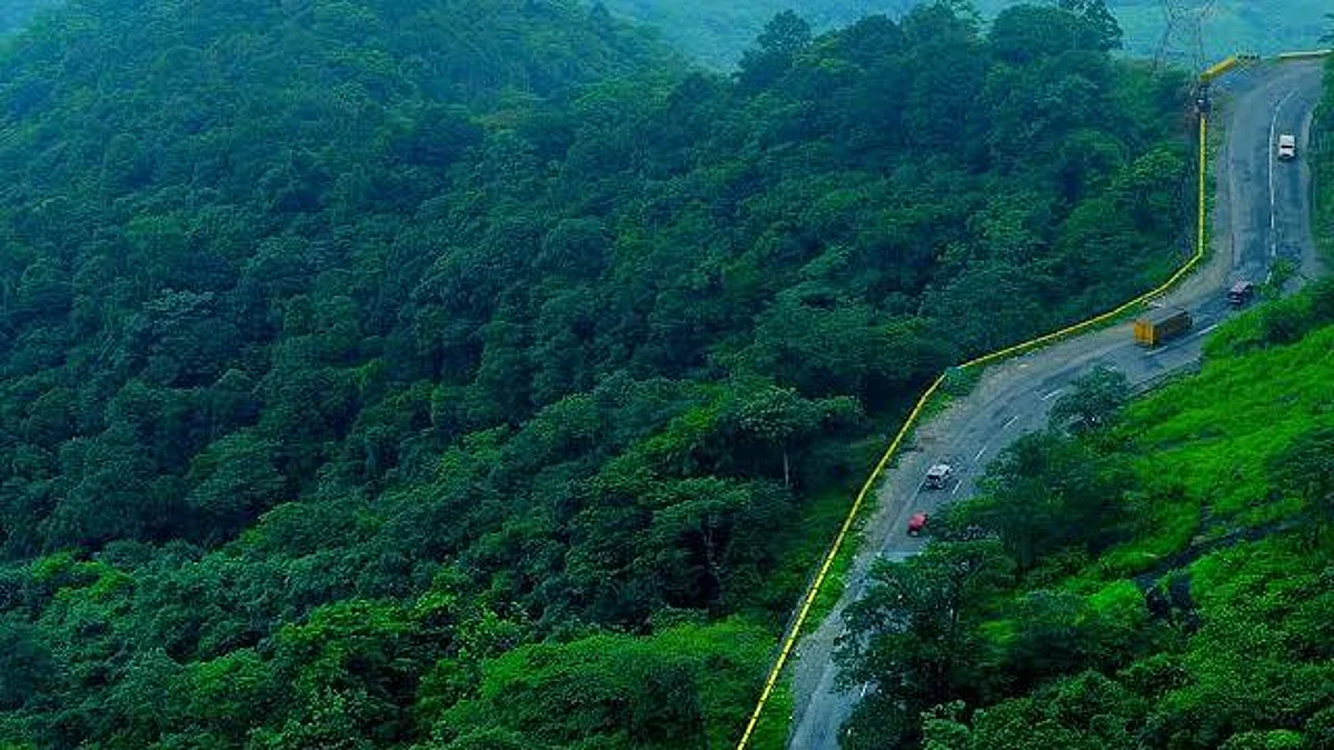ബഫർ സോൺ: വയനാട്ടില് ഇടത്, വലത് മുന്നണികള് ഇന്നു മുതല് സമരം തുടങ്ങും