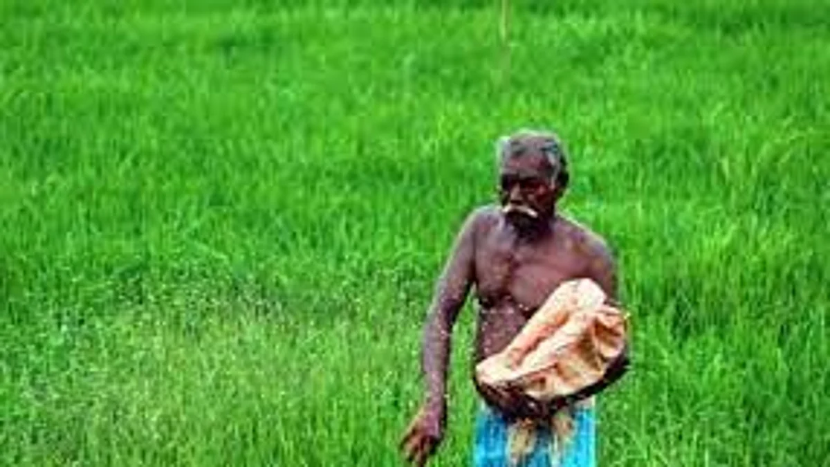 പ്രധാനമന്ത്രി കിസാൻ സമ്മാൻ നിധി;സഹായം കൈപറ്റിയതിൽ അയോഗ്യരെന്ന് കണ്ടെത്തിയവർ പണം തിരിച്ചടക്കണം