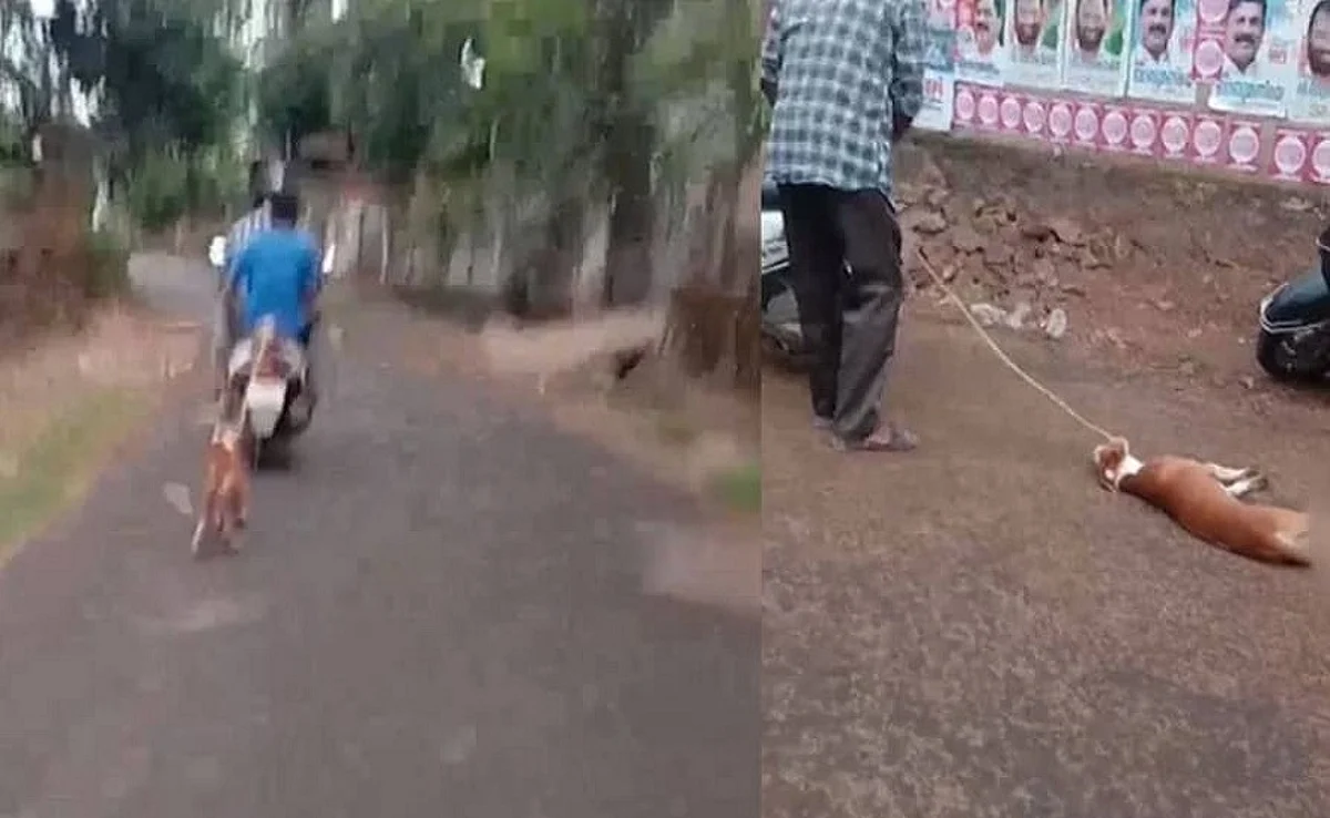 നായയെ മൂന്നു കിലോമീറ്റർ ദൂരം ബൈക്കിന് പിന്നിൽ കെട്ടിവലിച്ച് ഉടമയുടെ ക്രൂരത