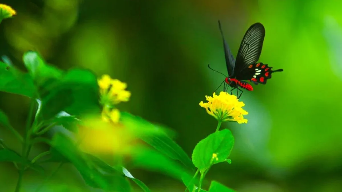 കാവ്യസാഗരം