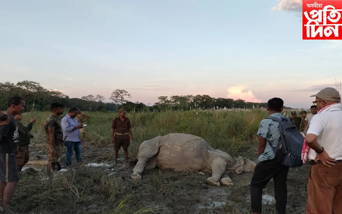 ওৰাং ৰাষ্ট্ৰীয় উদ্যানত বাৰ্ধক্য জনিত কাৰণত মৃত্যু এটি মতা গঁড়ৰ