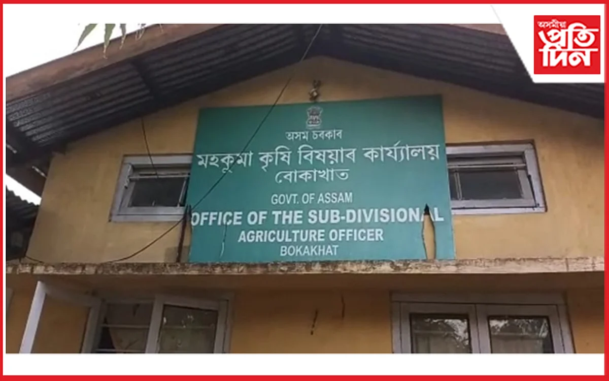 চৰকাৰে যোগান ধৰা বাদামৰ বীজক লৈ বোকাখাতত বিপাঙত কৃষক