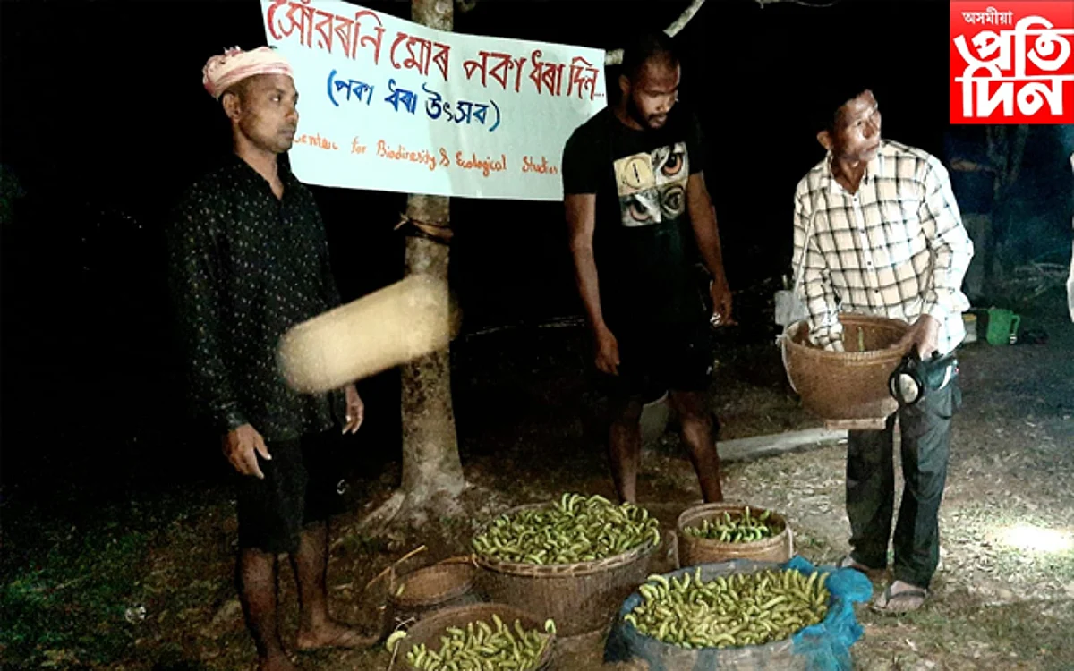 dhakuakhana