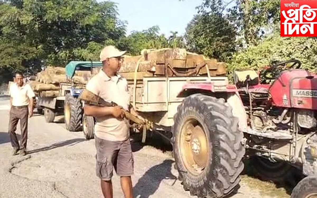 ট্ৰেক্টৰ ভৰ্তি চোৰাং কাঠ জব্দ