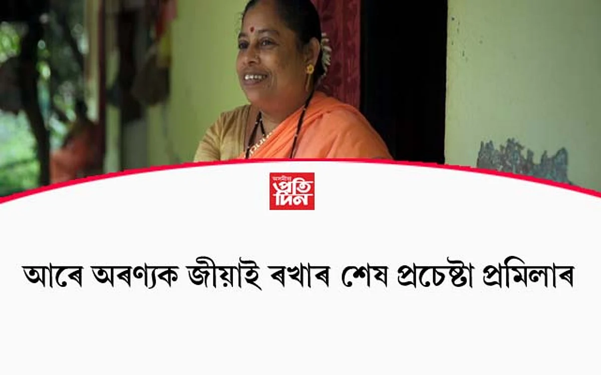 মেট্ৰ' প্ৰকল্পই নি:শেষ কৰি অনা আৰে অৰণ্যক জীয়াই ৰখাৰ শেষ প্ৰচেষ্টা প্ৰমিলাৰ…