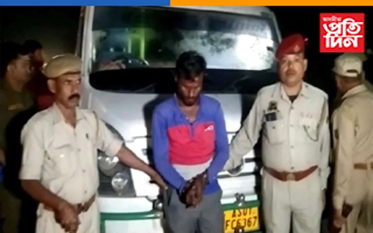 যাত্ৰীবাহী ট্ৰেভেলাৰত চোৰাং গৰু সৰবৰাহ: এজনক কৰায়ত্ব