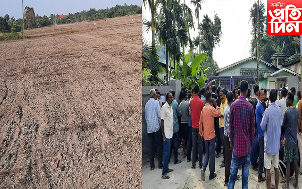 ঢকুৱাখনাত ইউৰিয়া সাৰ বিচাৰি কৃষকৰ হাহাকাৰ