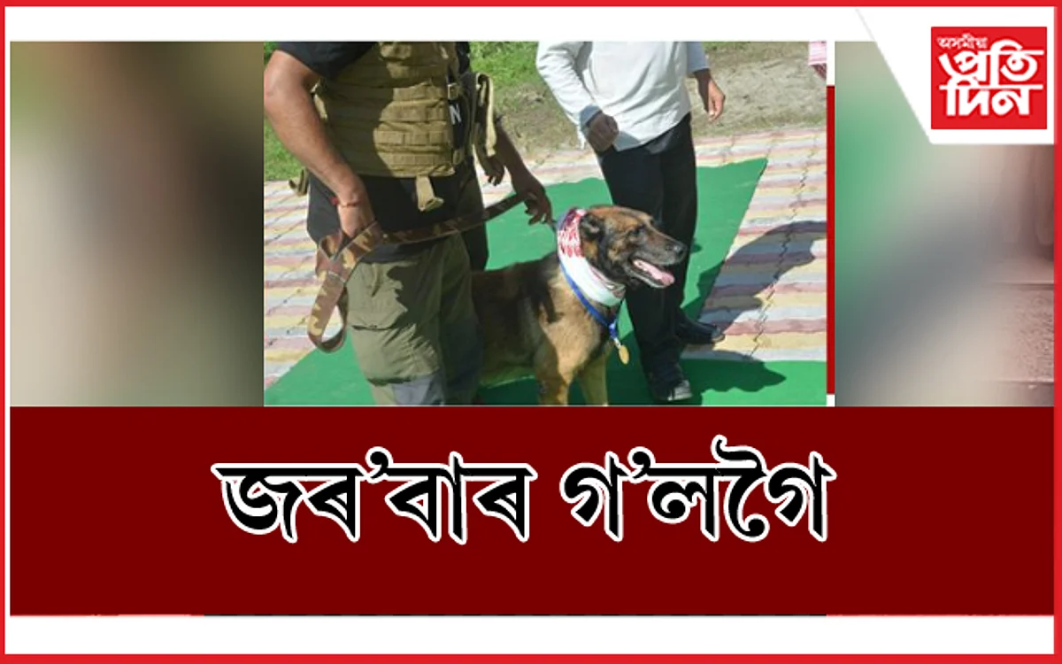 ৬০ টাতকৈ অধিক চোৰাং চিকাৰী ধৰা জ'ৰাবৰ গ'লগৈ নেদেখা দেশলৈ