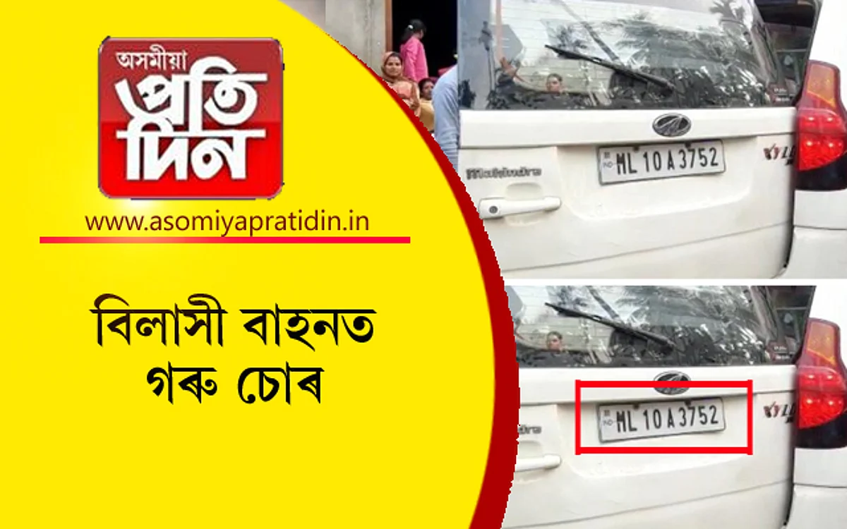 গৰু চোৰ