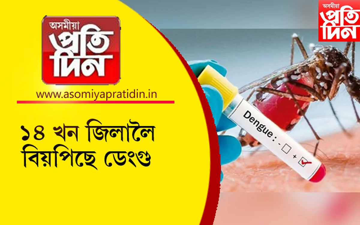 ডেংগু