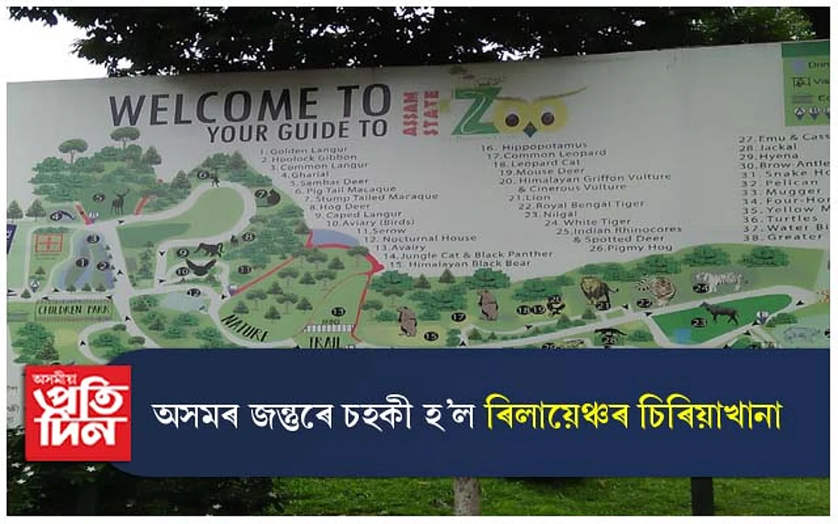 উদং হ'বলৈ ধৰিছে চিৰিয়াখানা, নিৰ্লিপ্ত প্ৰশাসন...