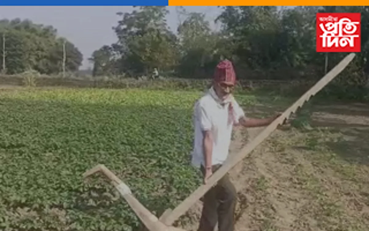 কৃষিকাৰ্যৰে স্বাৱলম্বী হোৱাৰ নিদৰ্শন গাঁওবুঢ়াৰ