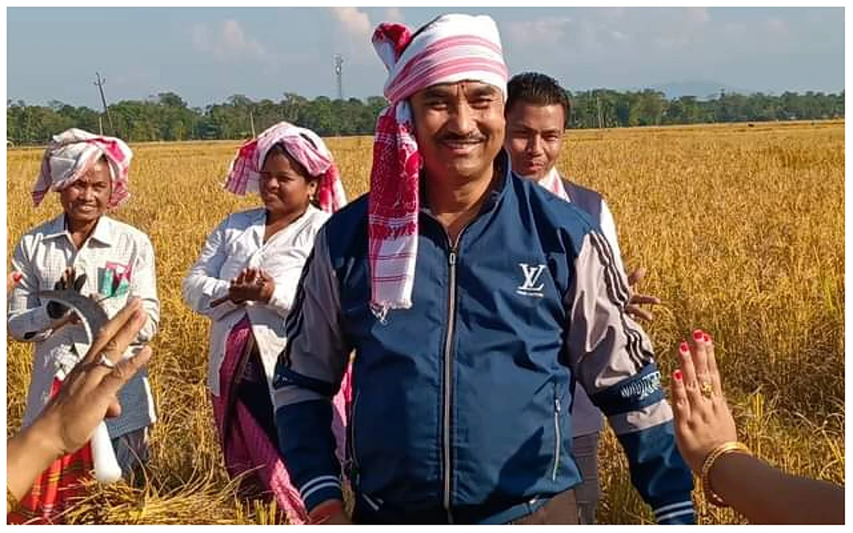 আঘোণৰ পথাৰত ধান কটাত ব্যস্ত বিধায়ক ধৰ্মেশ্বৰ কোঁৱৰ...