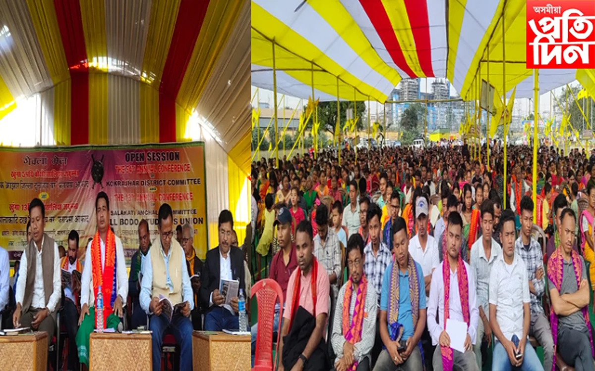 বড়ো জাতিক বিশ্ব দৰবাৰত প্ৰতিষ্ঠা কৰাৰ বাবে এবছুৱে অহৰ্নিশে কাম কৰি আছে : দ্বীপেন বড়ো