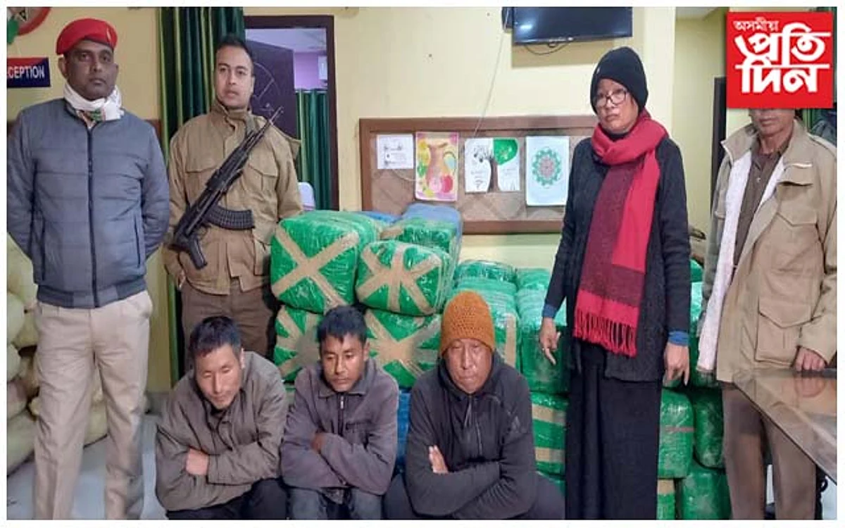 লামডিঙত ২ কোটি টকাৰ ১২ কুইন্টল গাঞ্জা জব্দ...