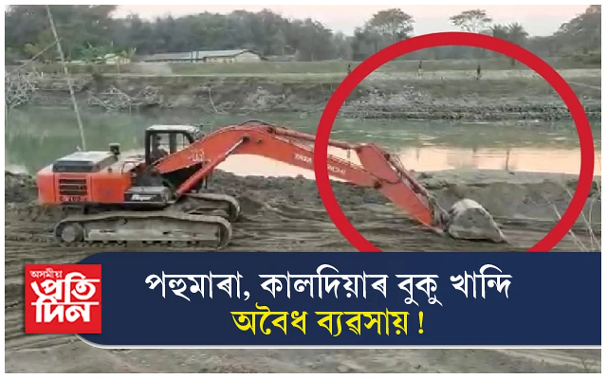 পহুমাৰা, কালদিয়াত অবৈধ পলস খননঃ নিৰ্বিকাৰ প্ৰশাসন, বন বিভাগ...