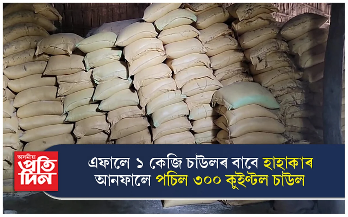 দায়িত্বহীনতা ! বাসুগাঁৱৰ গুদামতে পচিল ৩০০ কুইণ্টল চাউল...