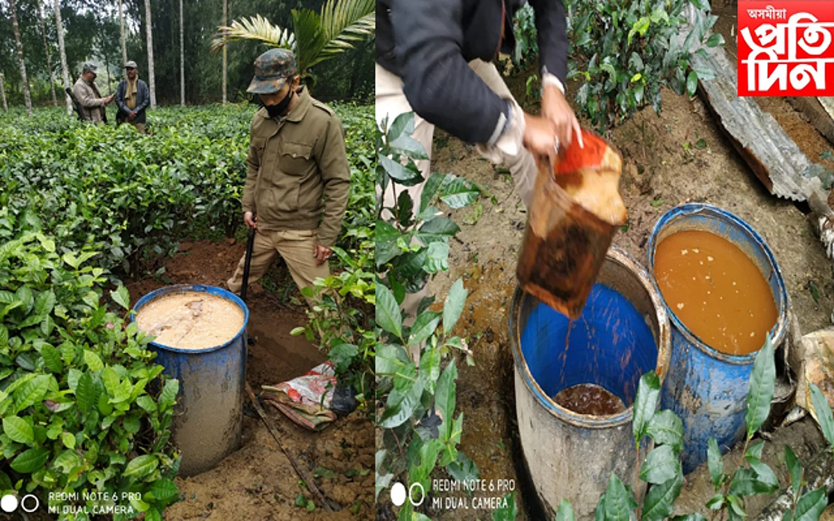 অবৈধ সুৰাৰ বিৰুদ্ধে তিনিচুকীয়া আবকাৰী বিভাগৰ অভিযান