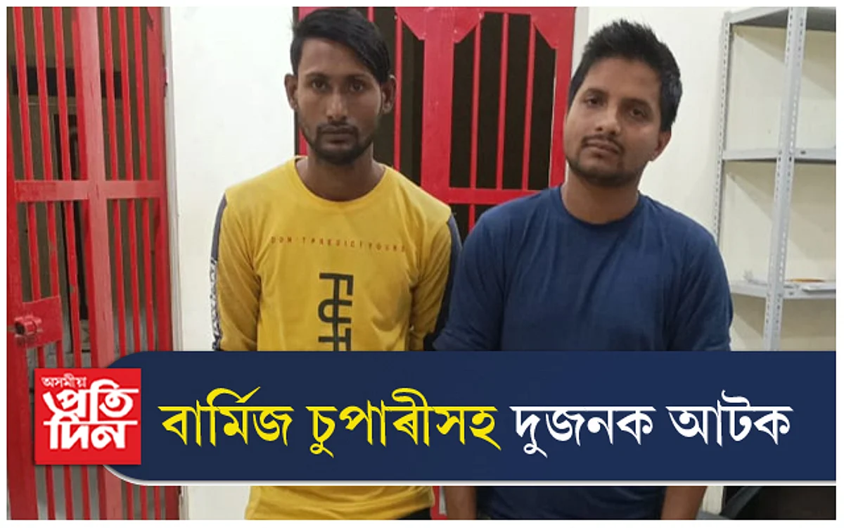 কাছাৰত এল্ট' বাহনৰ পৰা বাৰ্মিজ চুপাৰি জব্দ: দুজনক আটক...