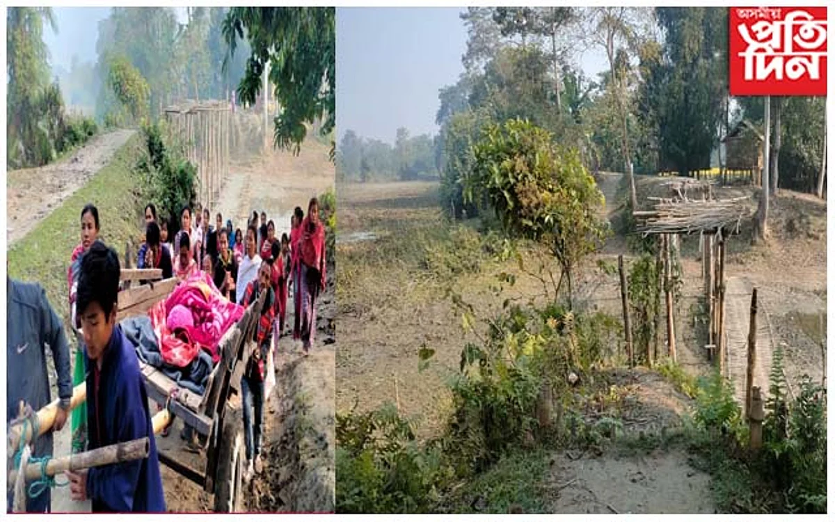 এম্বুলেন্সৰ সলনি ঘোঁৰা গাড়ীত ৰোগীক নিলে চিকিৎসালয়লৈ