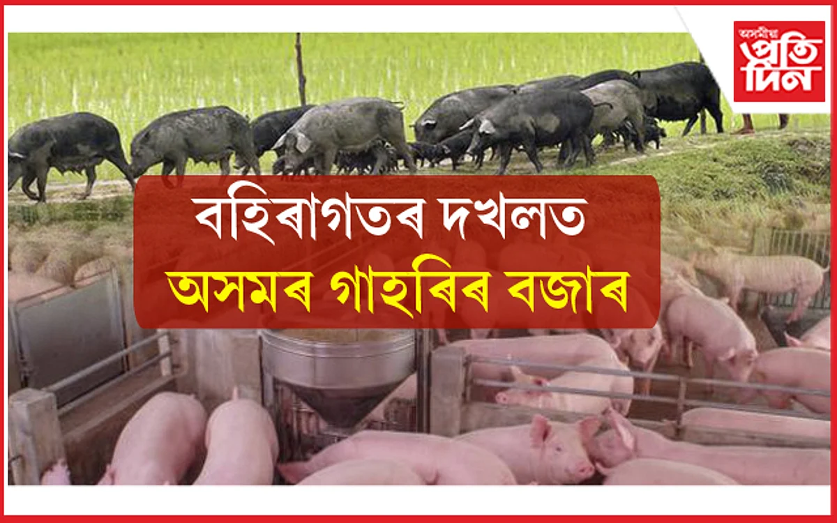 কোনে শুনিব থলুৱা গাহৰি পালকৰ বিননি? বহিঃ ৰাজ্যৰ ব্যৱসায়ীয়ে গ্ৰাস কৰিছে অসমৰ বজাৰ...