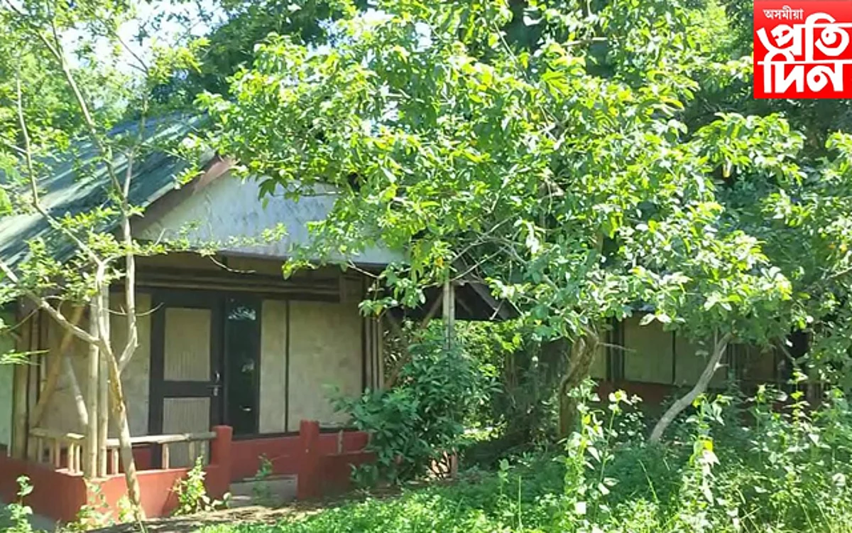 পৰ্যটনৰ হটস্পট কাজিৰঙাত নিমাওমাও পৰিৱেশ