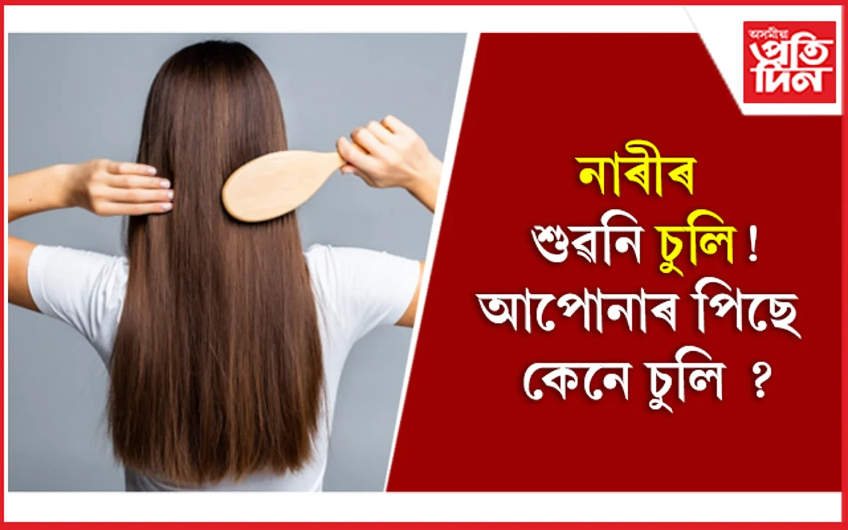 Hair Growth: দীঘল চুলিৰ বাবে আপুনি দৈনিক খোৱা উচিত এই ৫ টা খাদ্য
