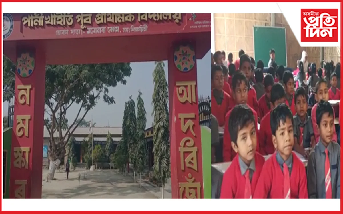 পানীখাইতি পূব প্ৰাথমিক বিদ্যালয়ৰ নান্দনিক পৰিৱেশ