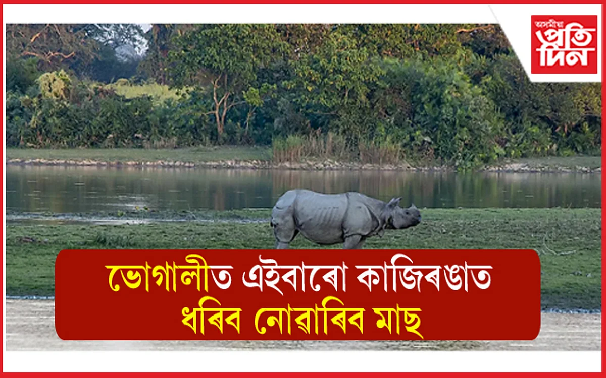 এইবাৰো মাঘ বিহুত মাছ ধৰিব নোৱাৰিব কাজিৰঙাত : ১৪৪ ধাৰা জাৰি...