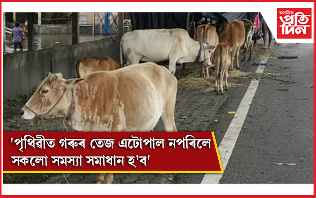 গোবৰেৰে নিৰ্মিত ঘৰবোৰ পাৰমাণৱিক বিকিৰণৰ দ্বাৰা প্ৰভাৱিত নহয়: গুজৰাট আদালত