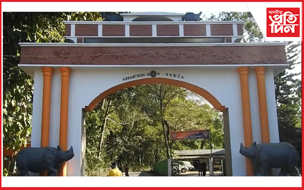 বিশ্ব ঐতিহ্যক্ষেত্ৰ কাজিৰঙাৰ কদৰ্যময় ৰূপ...