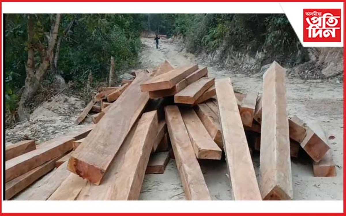 বনদস্যুৰ কবলত কাজিৰঙা ৰাষ্ট্ৰীয় উদ্যানৰ দক্ষিণৰ কাৰ্বি পাহাৰ