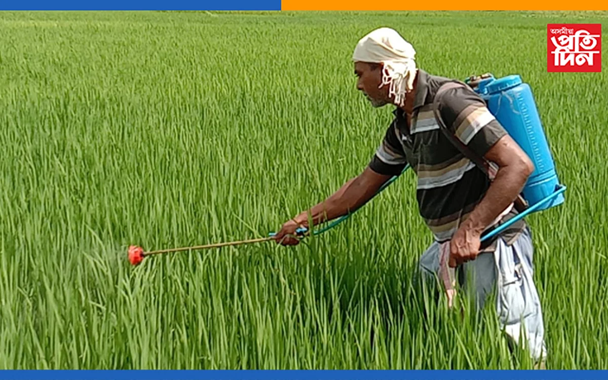 প্ৰতীকি ফটো