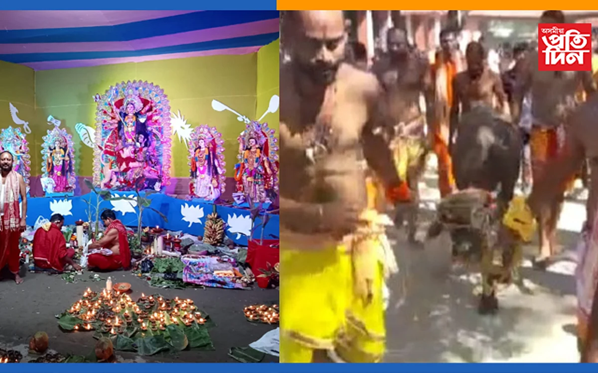 বিল্বেশ্বৰত নহ’ল ৰাজহুৱা বলিঃ নলবাৰীৰ ভিন্ন প্ৰান্তত উখল-মাখল পৰিবেশ…