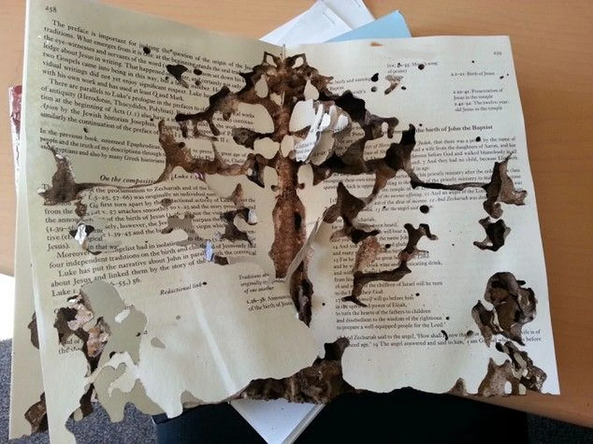 Records eaten by termites: Delhi HC quashes CIC order imposing penalty on Notary under RTI Act for negligence