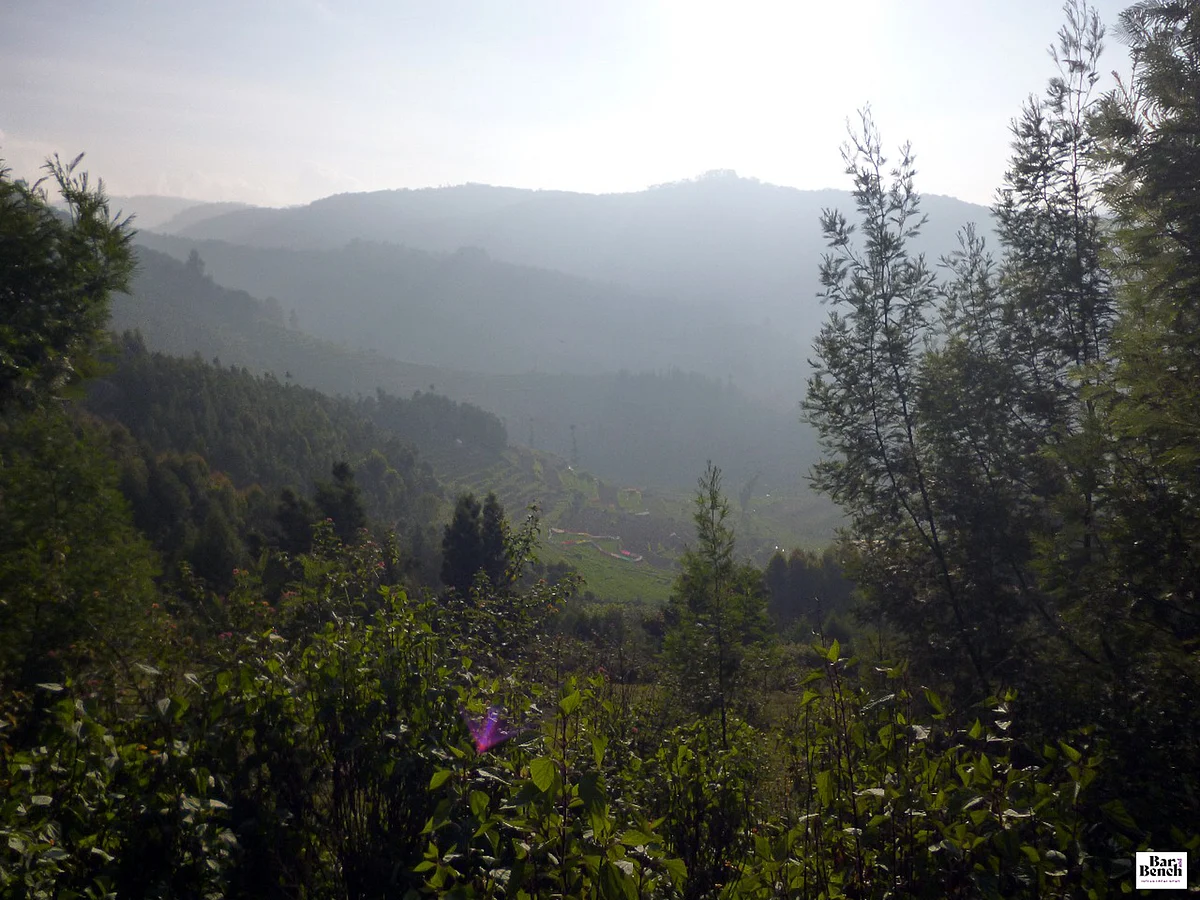 Environment