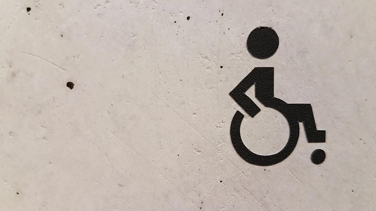 Web Inaccessibility for the Disabled during COVID-19: An Analysis