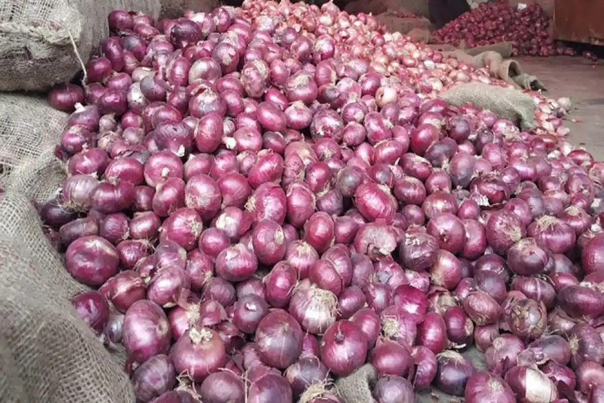 Ban on export of onions challenged; Bombay HC asks Customs to allow export of pending onion consignments