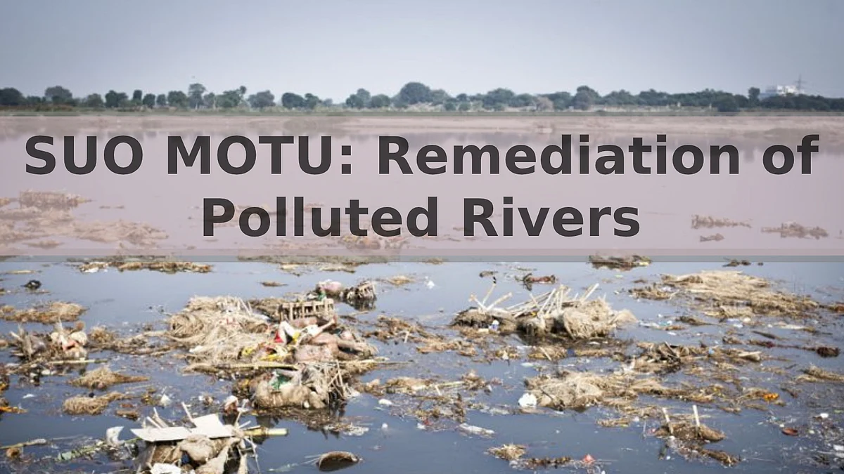 Polluted River