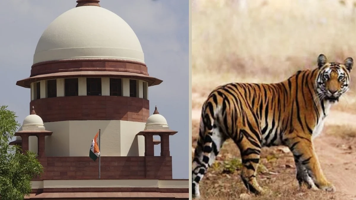 "Tigress Avni was shot like a terrorist, was not a man eater:" Contempt petition in Supreme Court
