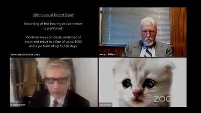 I Am Not A Cat Texas Lawyer Accidentally Appears In Virtual Court Hearing With Cat Filter On I Am Not A Cat Texas Lawyer Accidentally Appears In Virtual Court Hearing With Cat Filter On