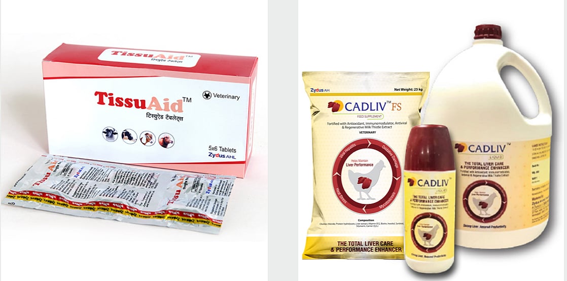 JSA, CAM lead on Multiples Private Equity acquisition of Zydus Animal Health