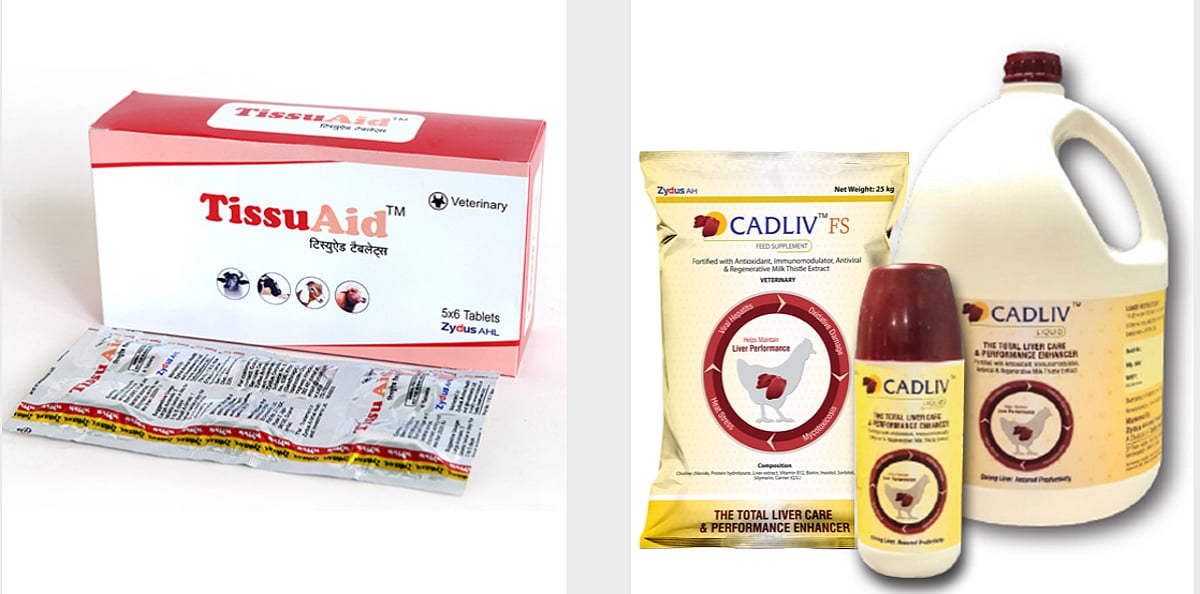 JSA, CAM lead on Multiples Private Equity acquisition of Zydus Animal Health