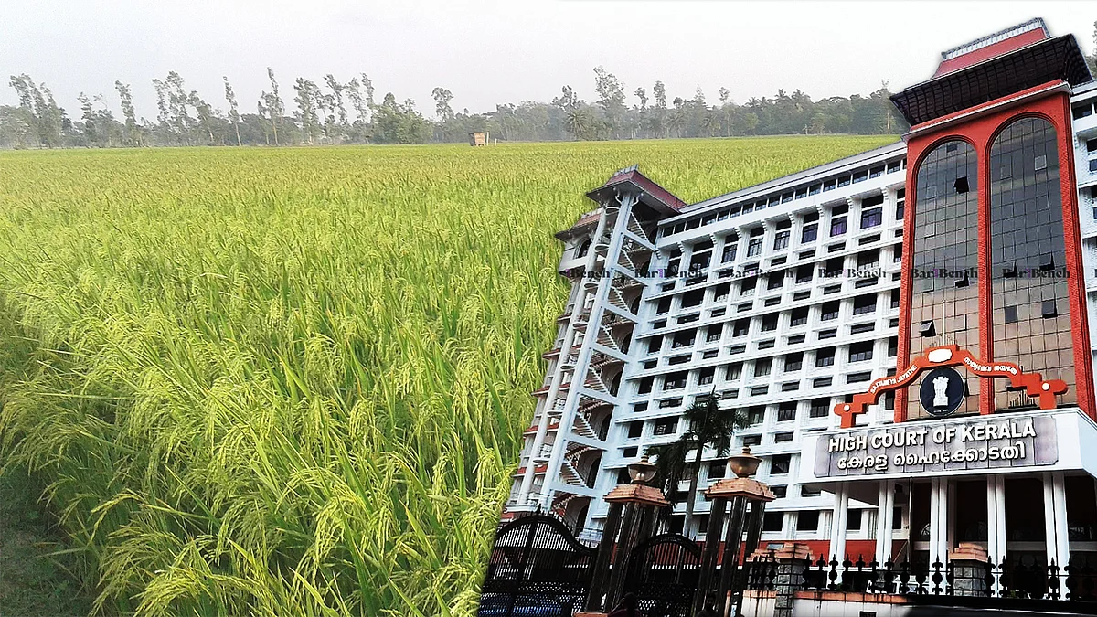 Kerala high court, Paddy land