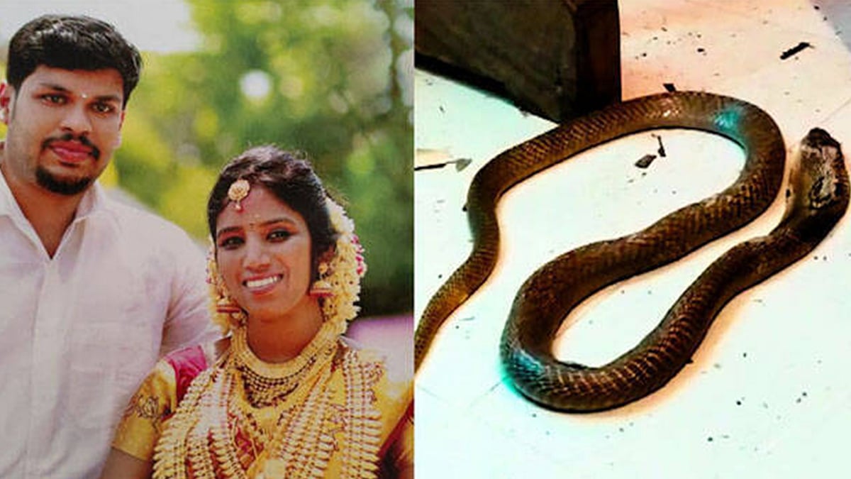 [BREAKING] Uthra murder: Kerala court holds husband guilty of killing wife using cobra - Vimarsana News