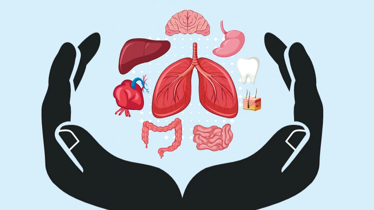 transplantation of human organs