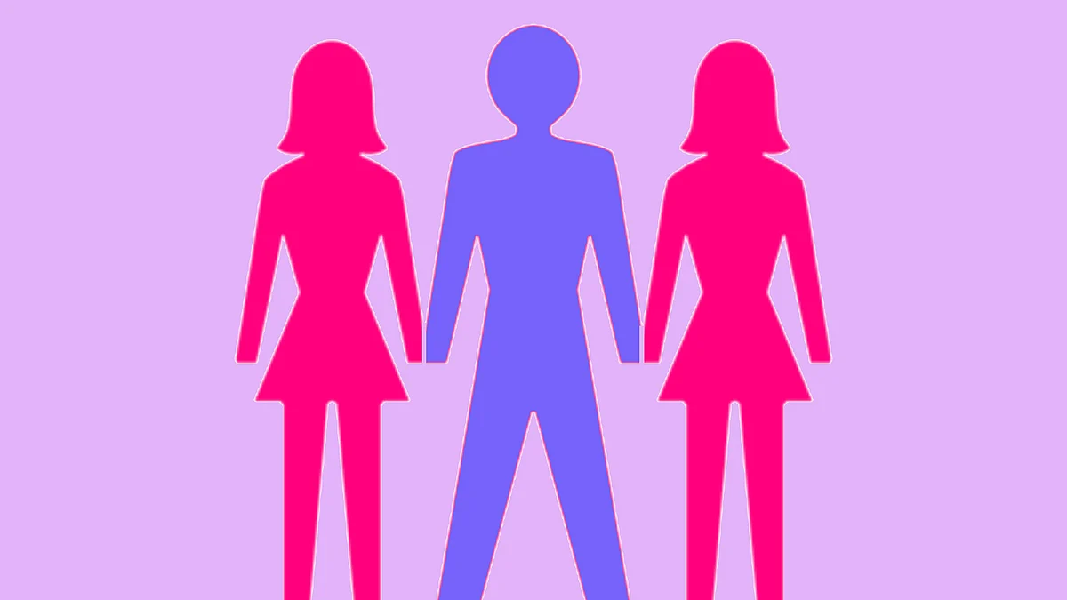 Section 494 IPC which criminalises bigamy challenged before Kerala High Court