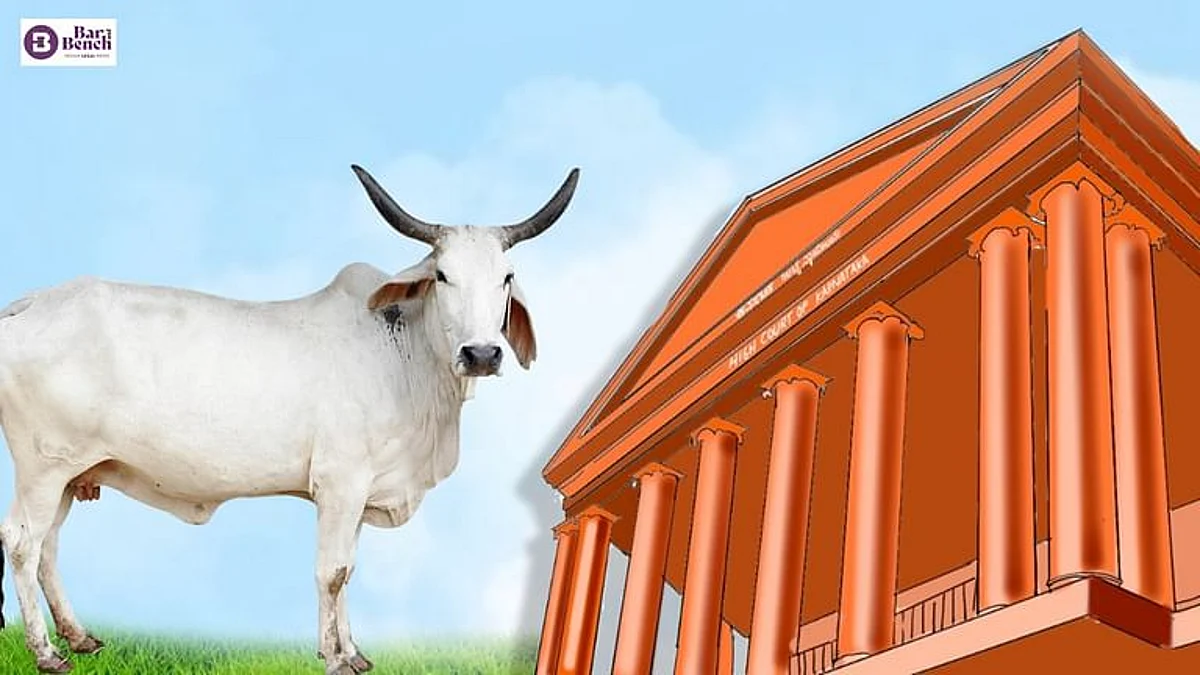 Take steps to establish gaushalas, file status report: Karnataka High Court to State